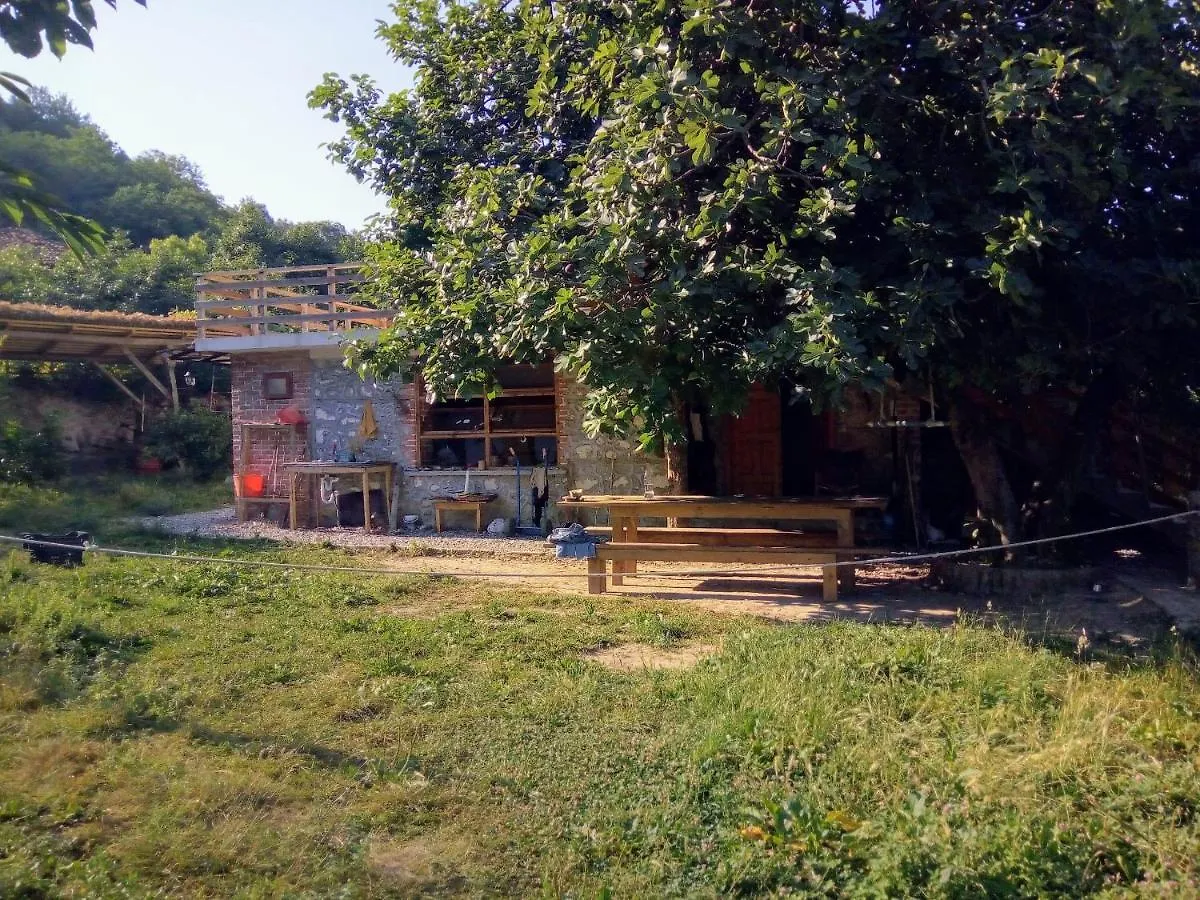 The House In The Village Pellumbas Guest house