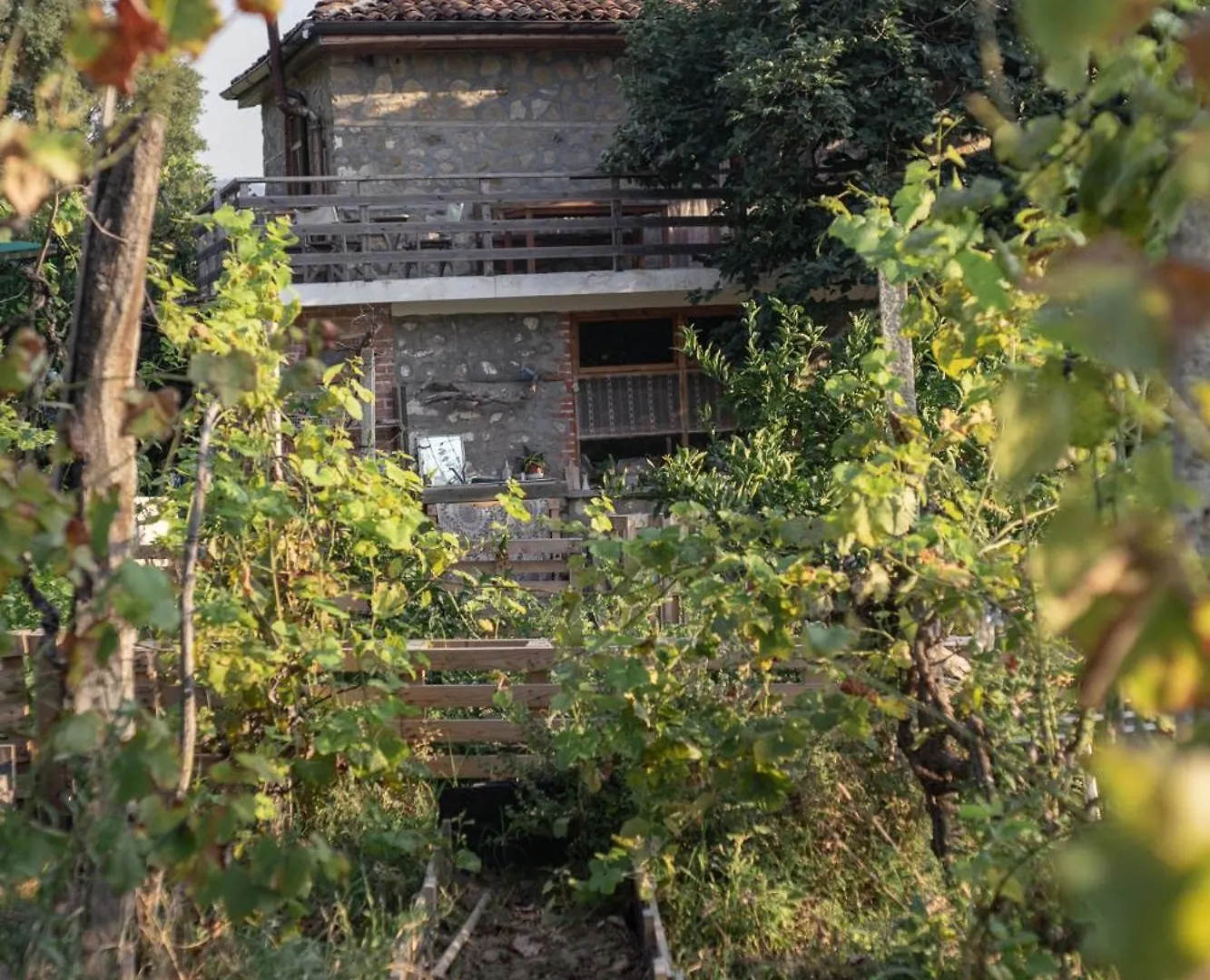 The House In The Village Pellumbas