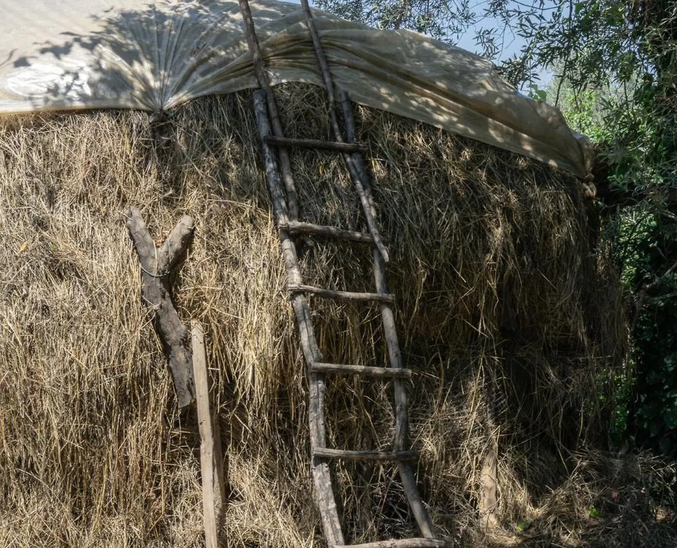 The House In The Village Pellumbas